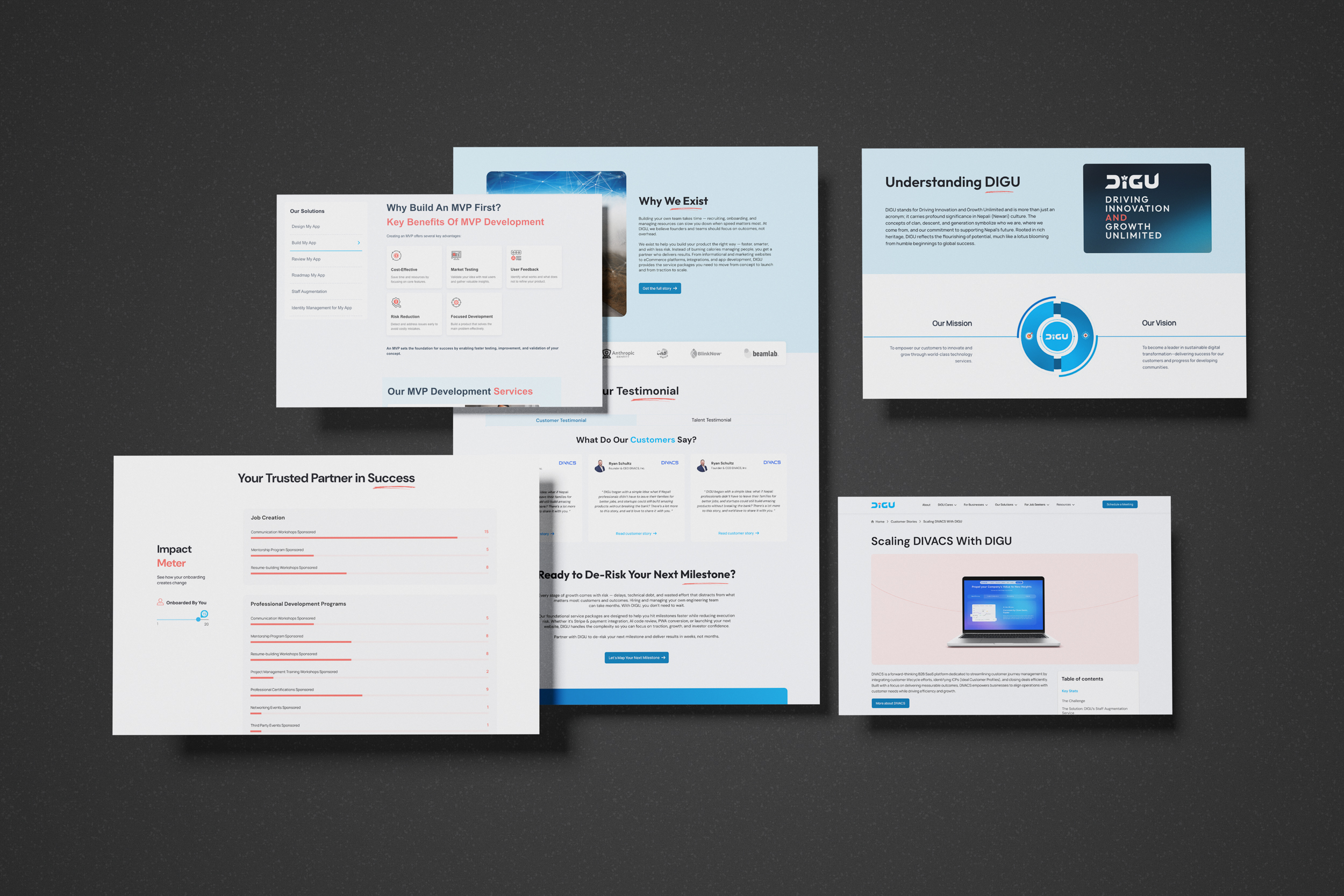DIGU website screens showing brand messaging, services, case studies, and digital experience
